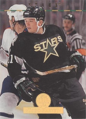 1994-95 Leaf - Todd Harvey #467
