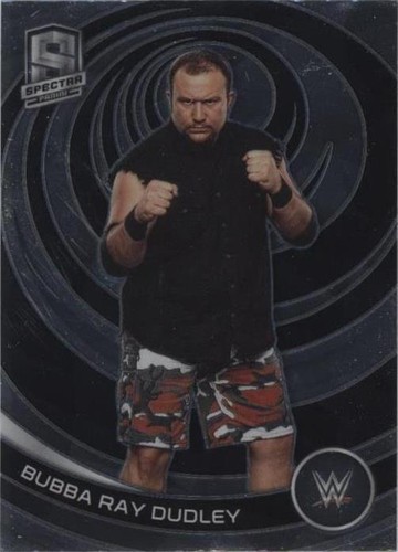 Bubba Ray Dudley Trading Cards