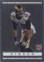 2009 Topps Platinum Brandon Gibson #162