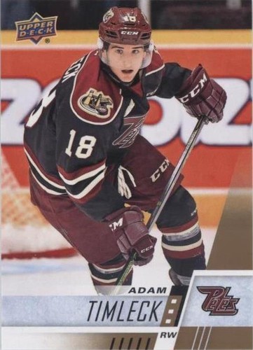 2017-18 Upper Deck CHL - Adam Timleck #290