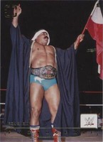 2024 Panini Photogenic WWE - Iron Sheik #195