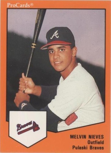 1989 ProCards Minor League Team Sets - Melvin Nieves #1893