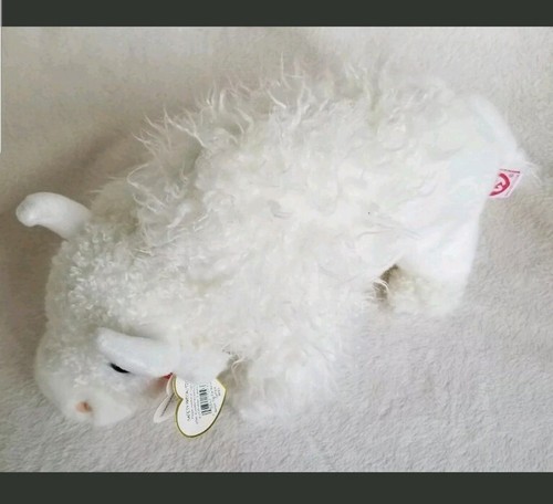 Roam White Buffalo Bison 12