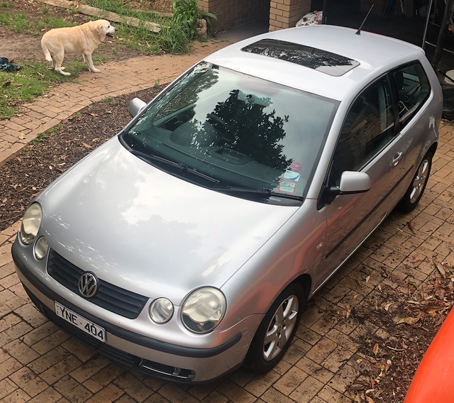 Volkswagen polo club