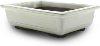 Umekichi Supplies Store Bonsai pot No. 6 long squa No. 6 approx. 19cm Japan