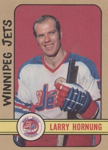 1972-73 O-Pee-Chee - Larry Hornung #317