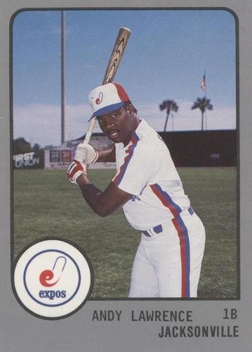 1988 ProCards Minor League - Andy Lawrence #972