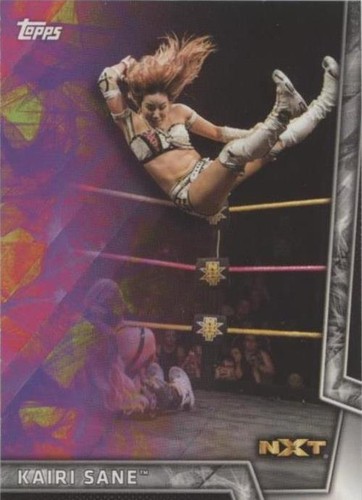 KAIRI【激レア】 Kairi Sane funhouse (metallic 8x10) - WWE photo signed auto