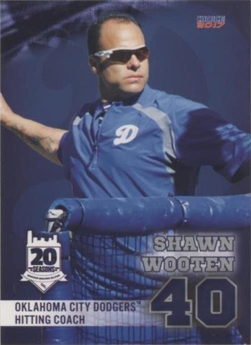 2017 Choice Oklahoma City Dodgers - Shawn Wooten #34