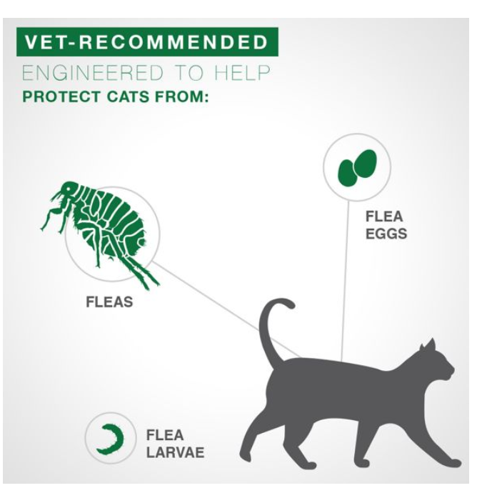 Advantage II Flea Treatment for Small Cats 5 lbs to 9 lbs & Ferrets - 6 counts.