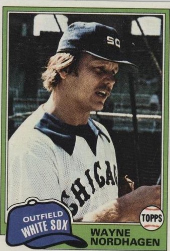 1981 Topps - Wayne Nordhagen #186