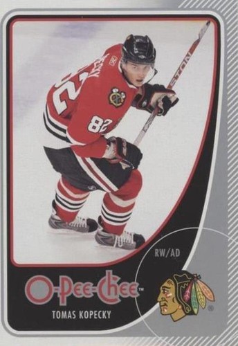 2010-11 O-Pee-Chee - Tomas Kopecky #252
