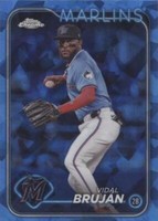 Vidal Brujan Trading Cards
