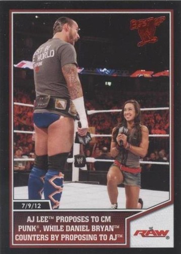 CM Punk Signed Official (11x14) Best In The World Autographed WWE