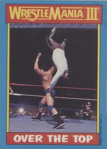 1987 O-Pee-Chee WWF - Danny Davis Tito Santana #53
