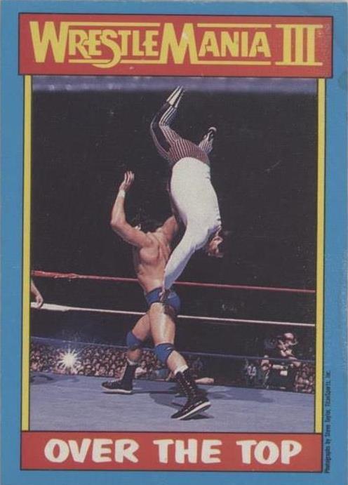 1987 O-Pee-Chee WWF - Danny Davis Tito Santana #53