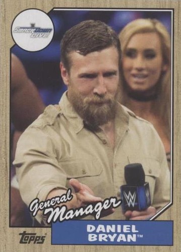2017 Topps Heritage WWE - Daniel Bryan #46