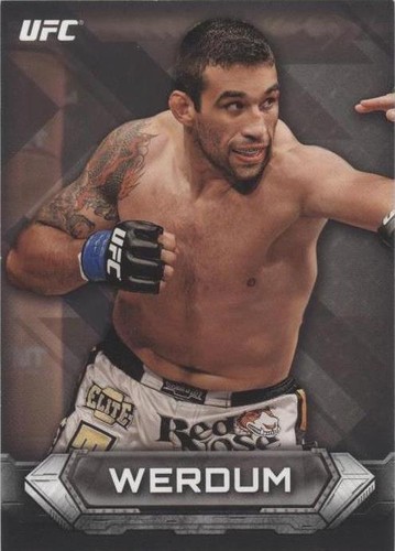2014 Topps UFC Knockout - Fabricio Werdum #38