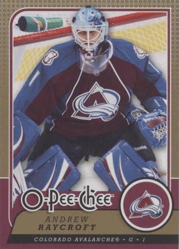 2008-09 O-Pee-Chee - Andrew Raycroft #619