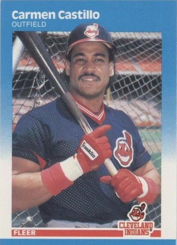 1987 Fleer - Carmen Castillo #250