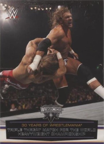 2014 Topps WWE Road to Wrestlemania - Shawn Michaels Triple H #40