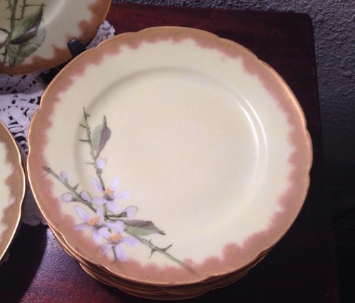 Limoges Charles Field 9 Salad Plates CFH / GDM Antique France Flowers
