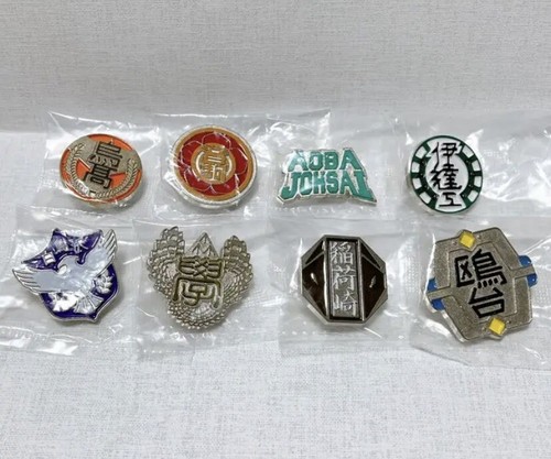 Haikyuu Hight School Motif Pins Pin Badge Set of 8 Completed Haikyuu Hight School Motif Pins Pin Badge Set of 8 Completed
