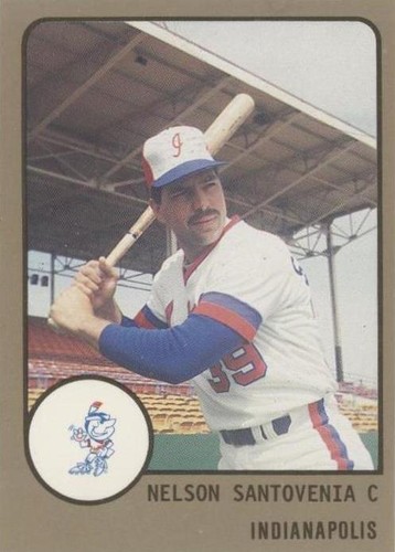 1988 ProCards Minor League - Nelson Santovenia #500