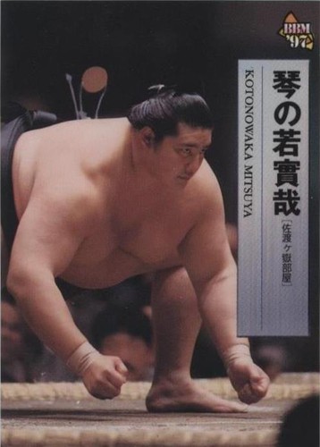 1997 BBM Sumo Modern - Kotonowaka Mitsuya #24