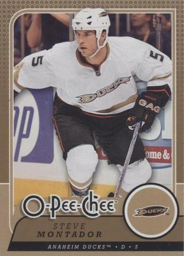 2008-09 O-Pee-Chee - Steve Montador #601