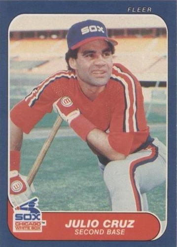 1986 Fleer - Julio Cruz #201