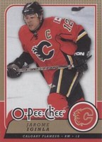 2008-09 O-Pee-Chee - Jarome Iginla #371