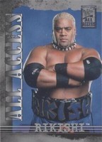 2002 Fleer WWF All Access - Rikishi #24