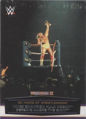 2014 Topps WWE Road to Wrestlemania - Hulk Hogan #6