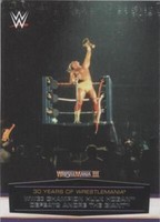 2014 Topps WWE Road to Wrestlemania - Hulk Hogan #6