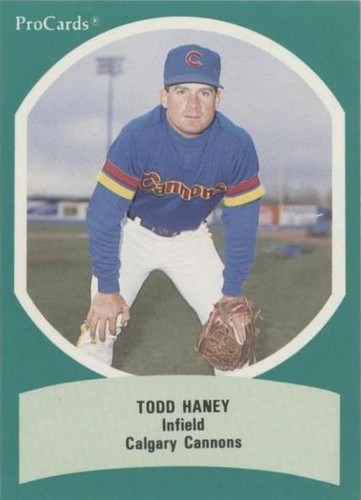 1990 ProCards Triple A All-Star Game - Todd Haney #AAA 43