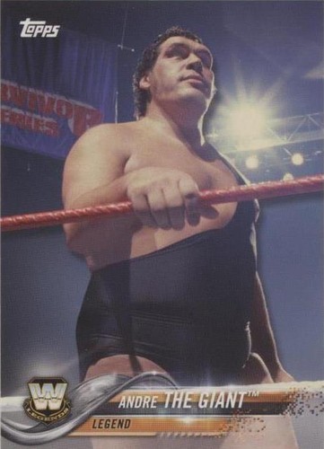 2018 Topps WWE Then Now Forever - Andre the Giant #188
