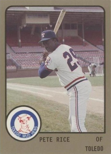 1988 ProCards Minor League - Pete Rice #598