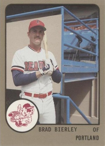 1988 ProCards Minor League - Brad Bierley #639