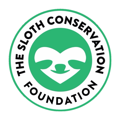 The Sloth Conservation Foundation