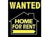 Property to rent URGENTLY needed for a couple in Norwich