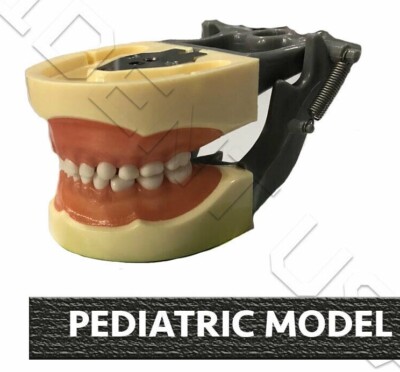 Dental Typodont Model 200P Compatible w/ Nissin Teeth