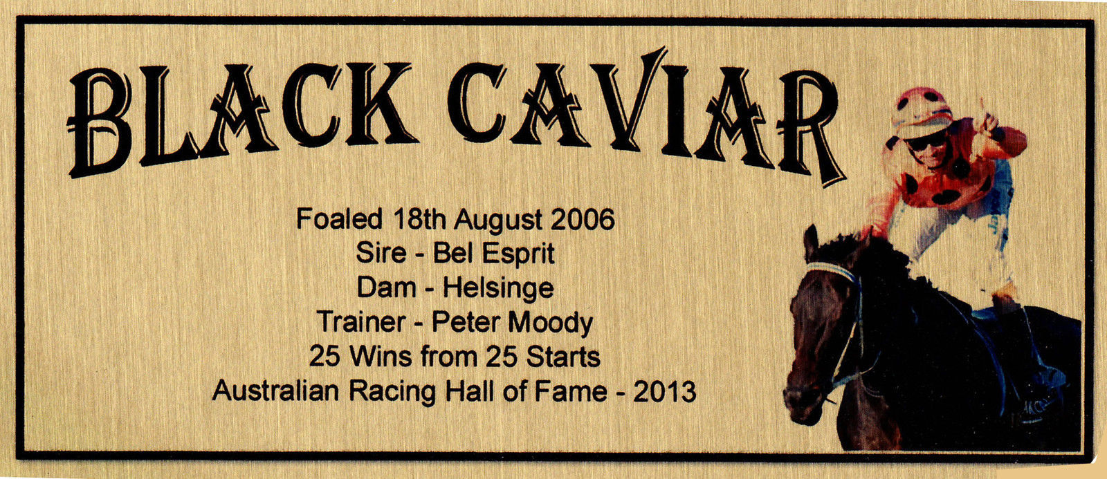 Horse Racing Memorabilia for sale Shop with Afterpay eBay