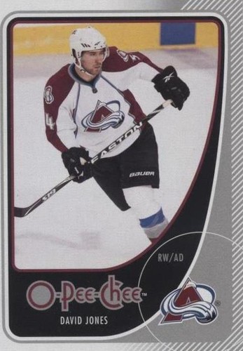 2010-11 O-Pee-Chee - David Jones #231