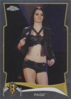 2014 Topps Chrome WWE - Paige #14
