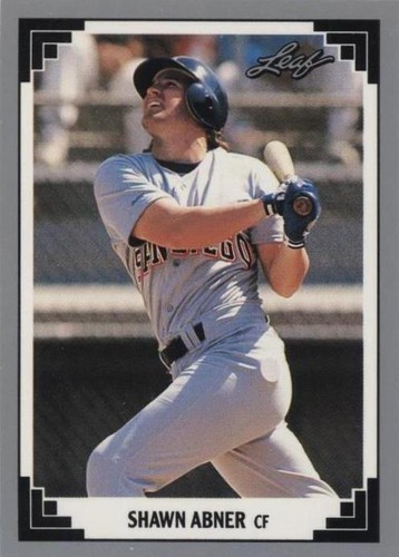 1991 Leaf - Shawn Abner #381