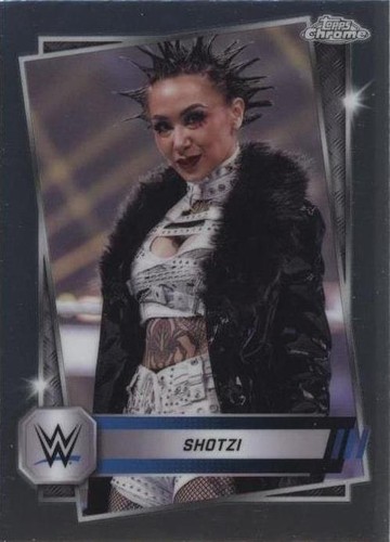 【値下げ】WWE NXTスーパースター　直筆サインポスター 値下げ】WWE NXTスーパースター直筆サインポスター