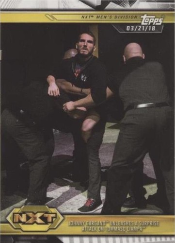 2019 Topps WWE NXT - Johnny Gargano Tommaso Ciampa #10