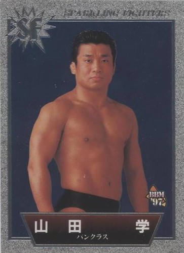 1997 BBM Pro Wrestling Sparkling Fighters - Manabu Yamada #SF 71