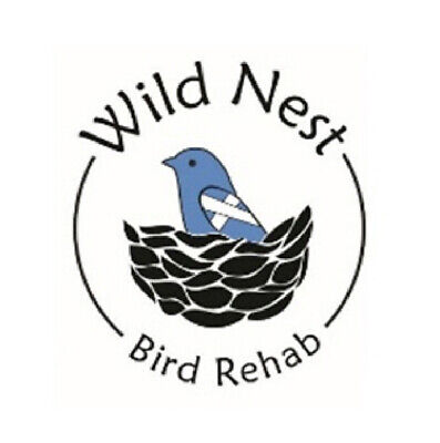 Wild Nest Bird Rehab, Inc